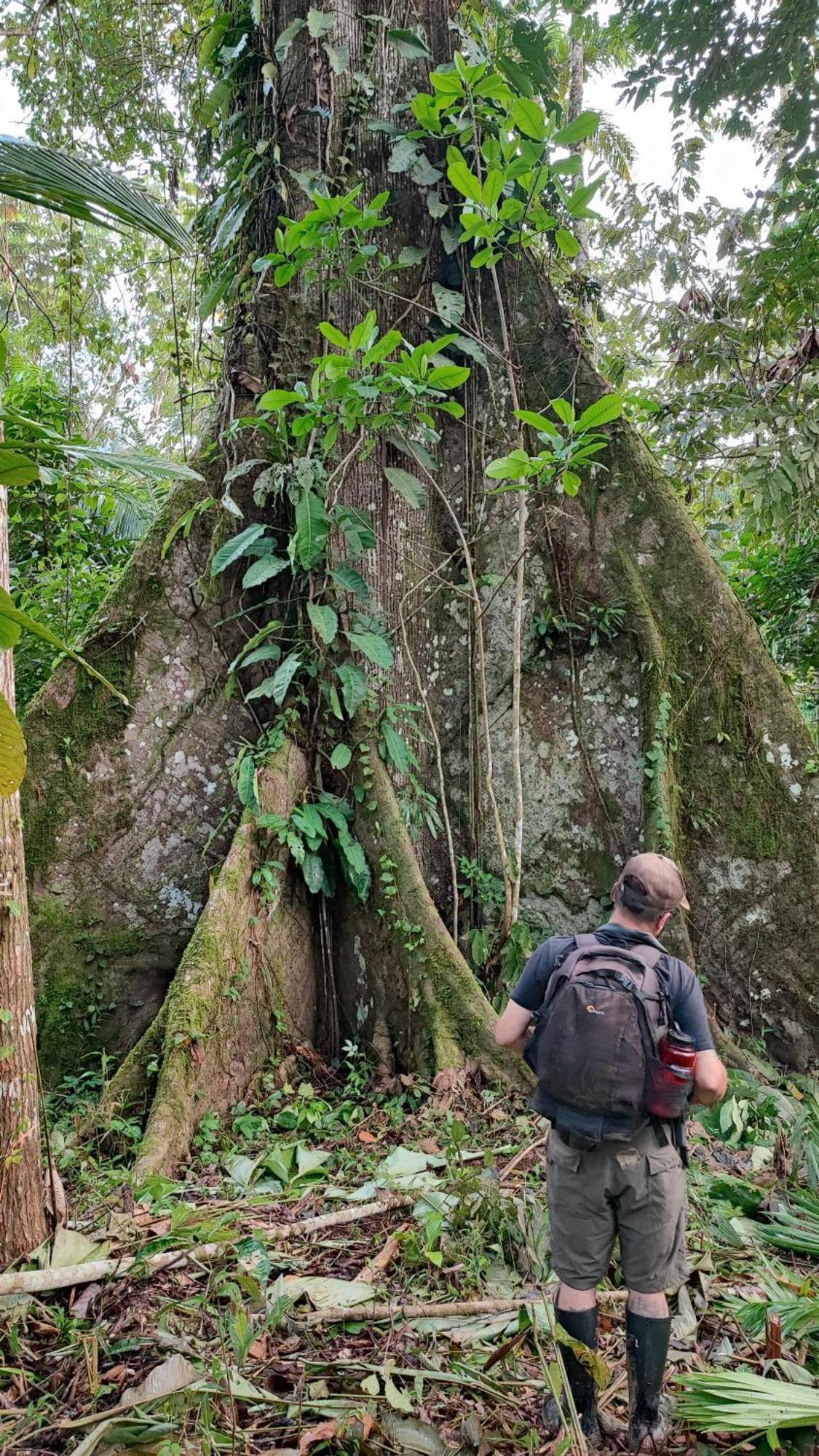 Hospedaje Y Tours Reina Arriera Amazonas Colombia Macedonia ภายนอก รูปภาพ