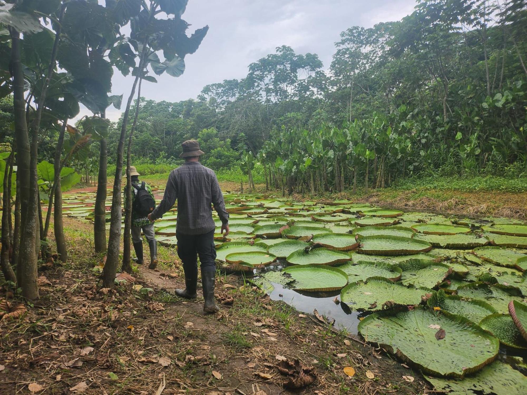 Hospedaje Y Tours Reina Arriera Amazonas Colombia Macedonia ภายนอก รูปภาพ