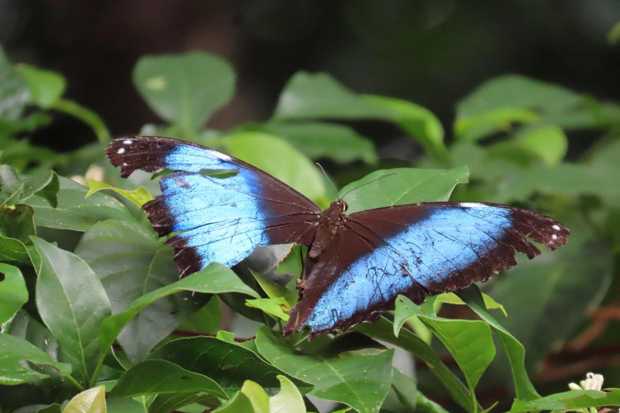 Hospedaje Y Tours Reina Arriera Amazonas Colombia Macedonia ภายนอก รูปภาพ