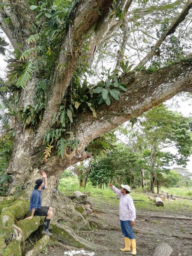 Hospedaje Y Tours Reina Arriera Amazonas Colombia Macedonia ภายนอก รูปภาพ